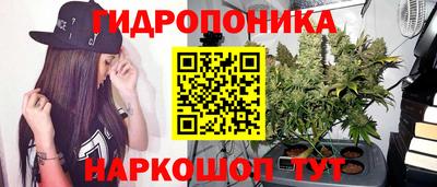 мяу мяу мука Балахна