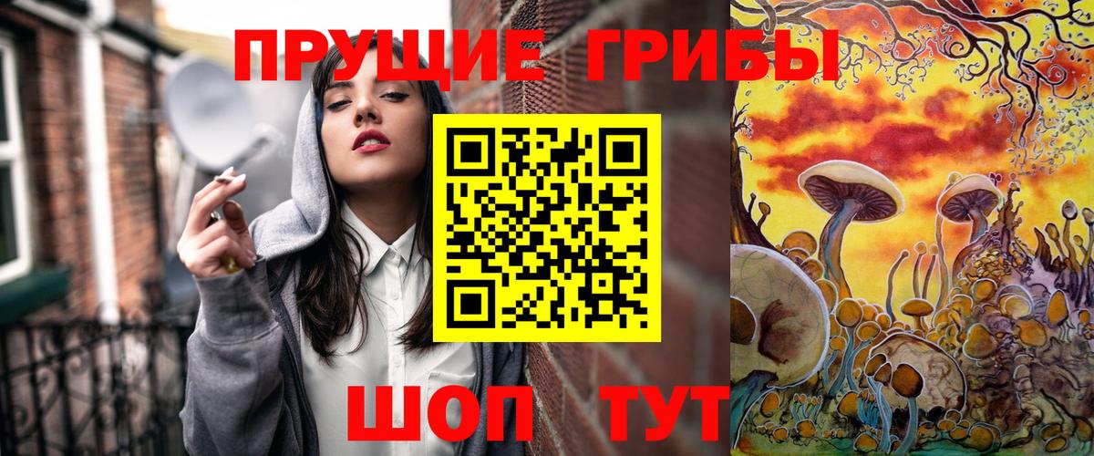 Псилоцибиновые грибы мухоморы  Псилоцибиновые грибы Cubensis  купить   Берёзовский  Вход с VPN 