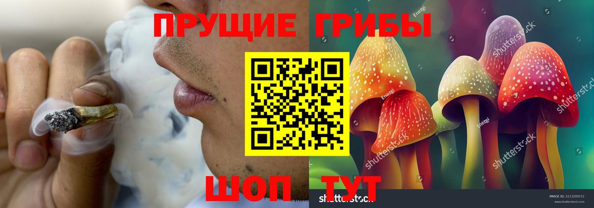 Псилоцибиновые грибы Psilocybe Берёзовский